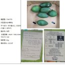주식회사 프레시오늘 이미지