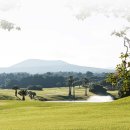 더해비치 이미지