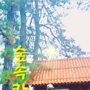 피어하우스나무(PEERHAUS) | 괴산 트리하우스가든 인생샷 명소 사계절 예쁜 정원 카페