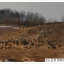 신방골농장 | 유황오리와 옻의 만남 법제유황옻오리백숙 만들기