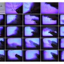 비디오아트 이미지