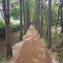 공단옛길 이미지