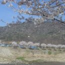 차리인동네 이미지