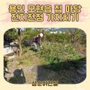 모현-4 | 용인 모현 집 마당 전지전정 가지치기 작업 후기!