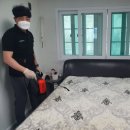 묵은 매트리스 청소 |부산 침대 청소| 후기