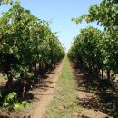 대박1농장 이미지