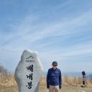 영 농장 이미지