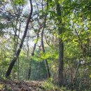 노고봉산성과 애기바위산성 이미지