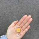 [ 서울 중구 ] 을지로 맛집 ‘을지다락’ | 카페 ‘커피사’ | 종로3가 포장마차 후기