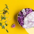 맹자에게 배우는 진심 이미지