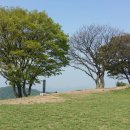 봉황세차장 이미지