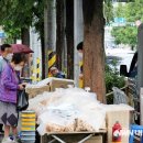 국세청 옆 이미지