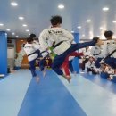 강철태권도장 이미지