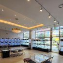 도그365 | 방문 예약 혜택 신뢰할수 있는 강아지분양 인천강아지분양 고양이분양 도그마루