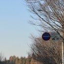 7080 로데오맛길 이미지