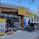 계명대강한태권도 이미지