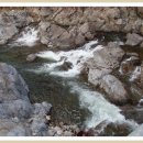 설천시장 이미지