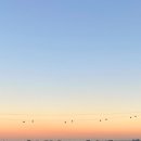 합천횟집 이미지