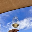 머루네건강원 | 2023년 그리스 여행 5일차(산토리니이동/와이너리방문/이아마을방문)