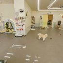 해피훈트 이미지