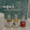 전통주 입문자를 위한 술구독 서비스 매월매주 매월한잔 구독후기