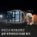 공주산속펜션 | 대전근교 애견동반펜션 공주 우주라이크 다녀온 후기
