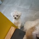 테라리움동물병원 이미지