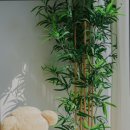 물소리길가 이미지