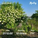 고덕 이팝나무길 이미지