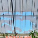 갈매기농장 이미지