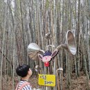 창녕 이방 동산굴 | 창녕 산토끼 노래동산 사계절 썰매장 대구 아이와 가볼 만한 곳