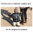 씨제이대한통운(주) 안성주유소 | Weekly Logistics News Letter Vol.721(1/10)