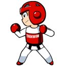 솔로몬태권도 이미지