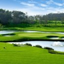 파인 힐링 이미지