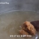 양지해장국 티스토리