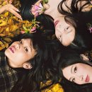 Dr.Line PT GYM 이미지