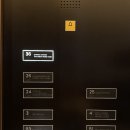 파인팰리스2
