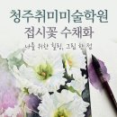 우리들수채화미술학원 | 접시꽃 청주취미미술학원 하얀 접시꽃 수채화로 피어나는 봄날의 감성