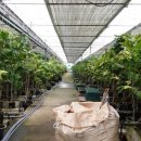 평대농장 이미지