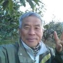 밤하늘에저별처럼 농장 이미지