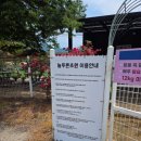 푸른잔디 | [남양주 수동면 애견카페 후기] 실내 수영장 + 야외 잔디운동장! 늘푸른초원