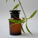 24시약국 이미지