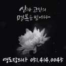 영도장의사
