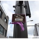 제주기독교순례길 2코스 순교의 길 이미지