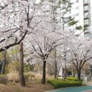 정천공인중개사사무소 네이버블로그