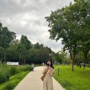 아식스ONITSUKATIGER가로수길