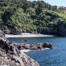 황우지해안열두굴 이미지