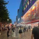 명주빌딩 | [상하이 첫날 여행기｜와이탄 야경·동방명주·유람선 완벽 코스]