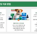 칠곡종합동물병원 이미지