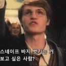 해리네 포터 이미지